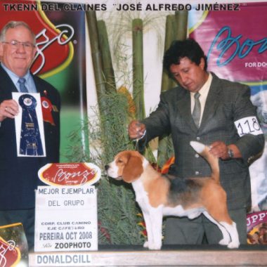 Jose alfredo